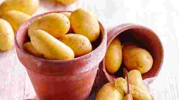 11 Fragen, die Sie sich immer wieder zum Thema Kartoffeln stellen