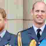 Prinz William und Prinz Harry: So entwickelte sich ihre Beziehung in den letzten Jahren