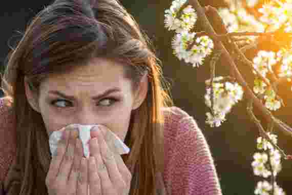 Allergiealarm: Welche Allergien gibt es, was sind die Gründe und Behandlungstherapien?